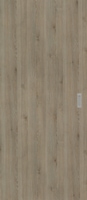 Pinie Silvergrey