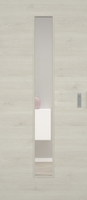 Pinie Ivory quer