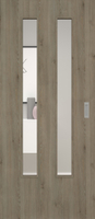 Pinie Silvergrey