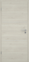 Pinie Ivory quer