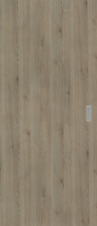 Pinie Silvergrey