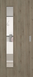 Pinie Silvergrey