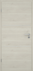 Pinie Ivory quer