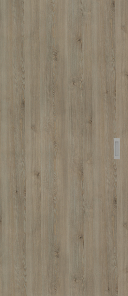 Pinie Silvergrey
