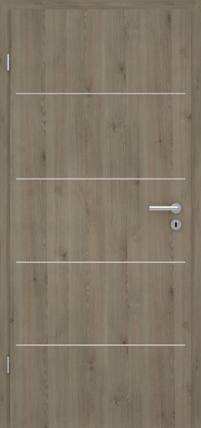 Pinie Silvergrey