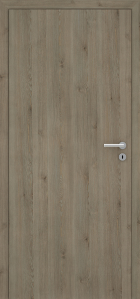 Pinie Silvergrey