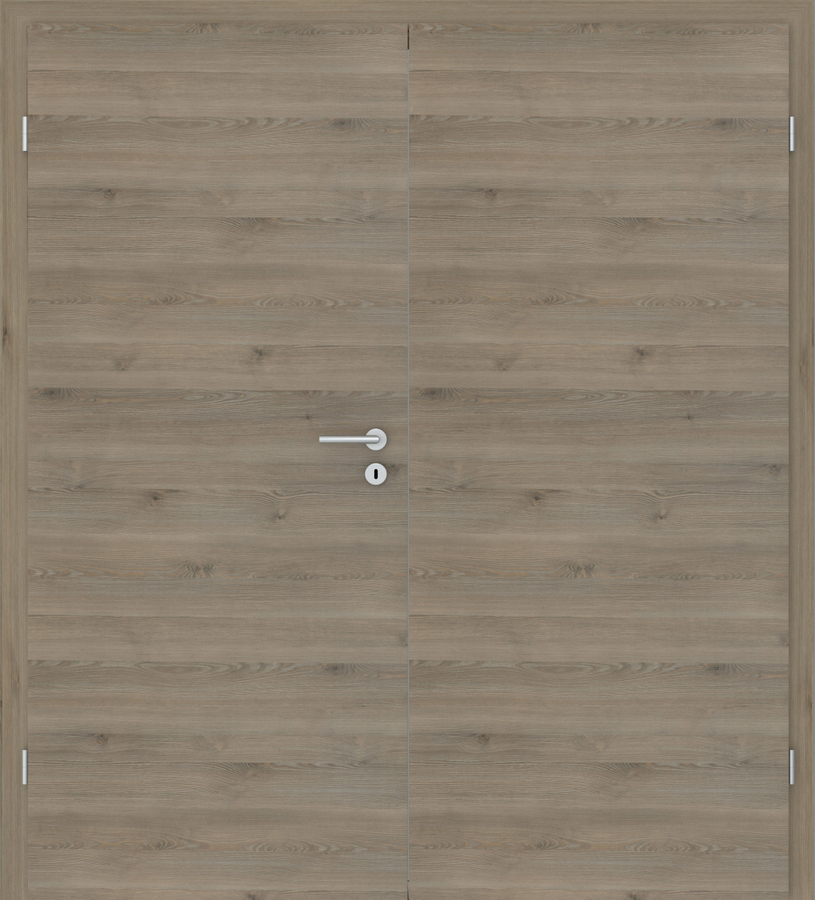 Pinie Silvergrey quer